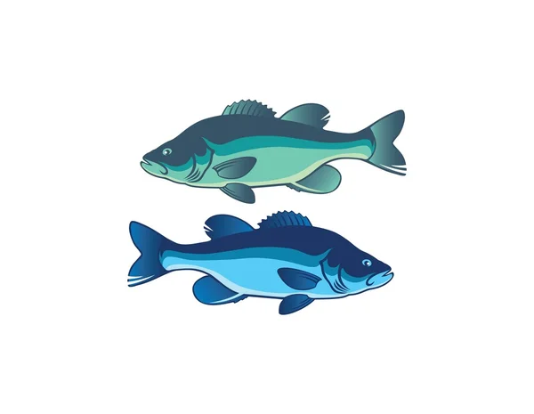 Two fish bass — Stock Vector