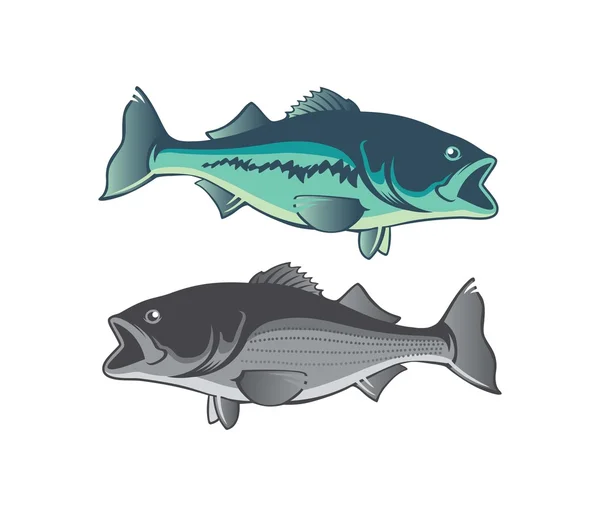 Twee gestreepte zeebaars vissen — Stockvector