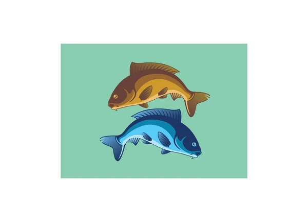 Twee karper vissen — Stockvector