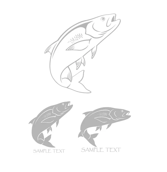 Набір з трьох значків риби лосося — стоковий вектор