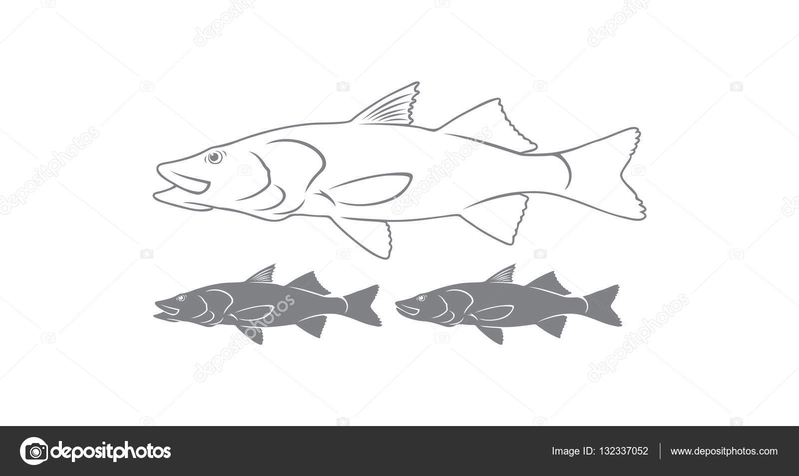 Striped bass pesce — Vettoriale Stock