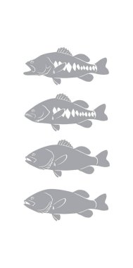 Bas balık için logo