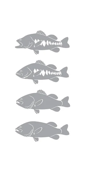 Bass pesce per il logo — Vettoriale Stock