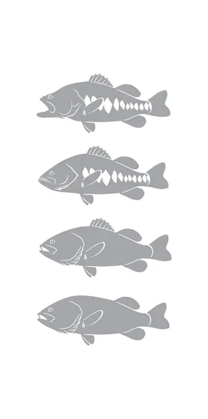 Bass fish para logotipo —  Vetores de Stock