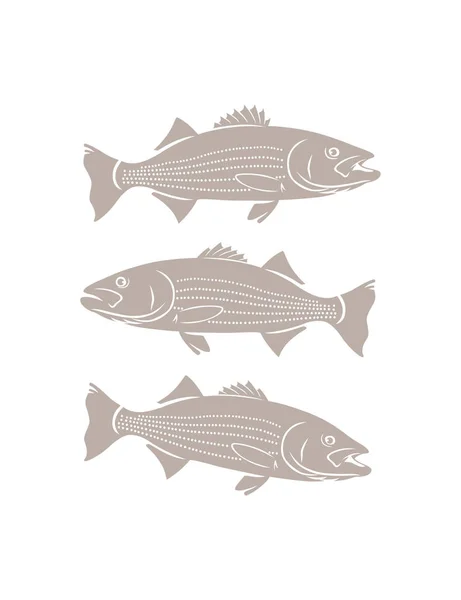 Baixo peixe listrado — Vetor de Stock