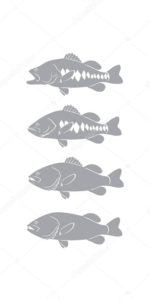 Bass fish for logo