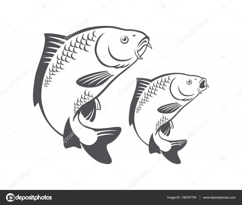 Download Carp fish for logo — Stock Vector © kvasay #136767794