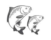 CARP fish logo