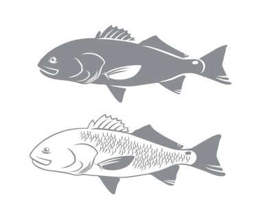 Caranx balık için logo