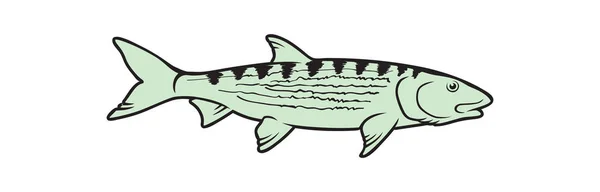 Caranx pescado para el logotipo — Vector de stock