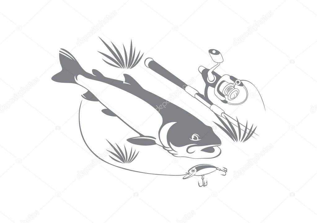 Trout fish for logo