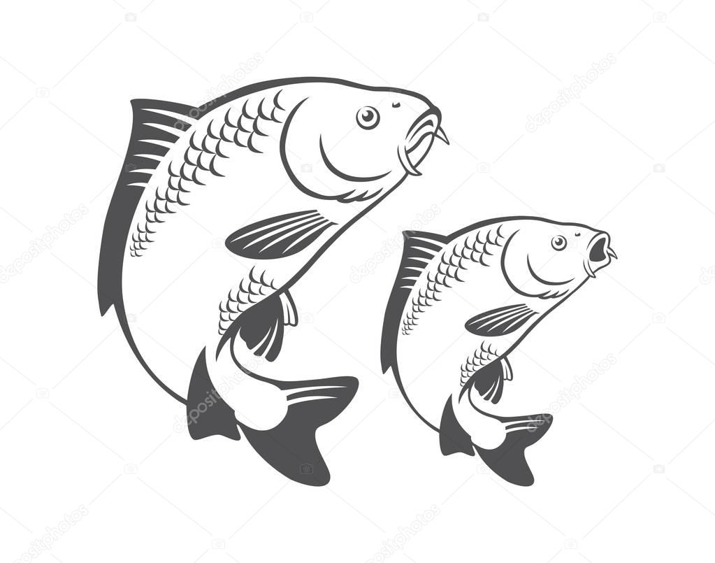 Carp fish for logo