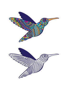 Çizilmiş kuş colibri
