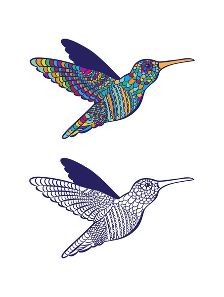 Colibri de pássaro desenhado — Vetor de Stock