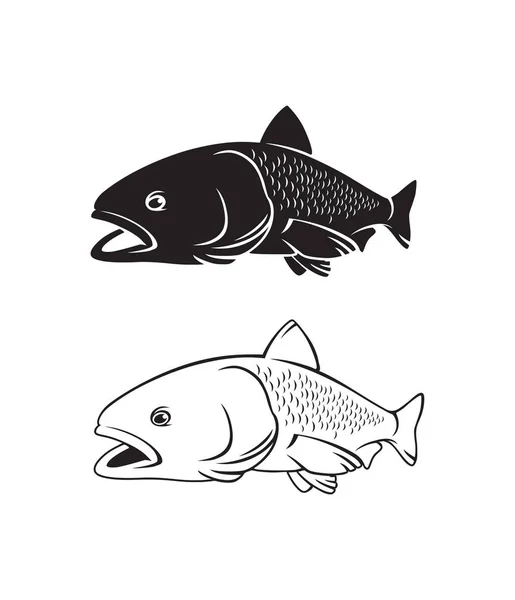 Chub pescado para logotipo o impresión — Archivo Imágenes Vectoriales