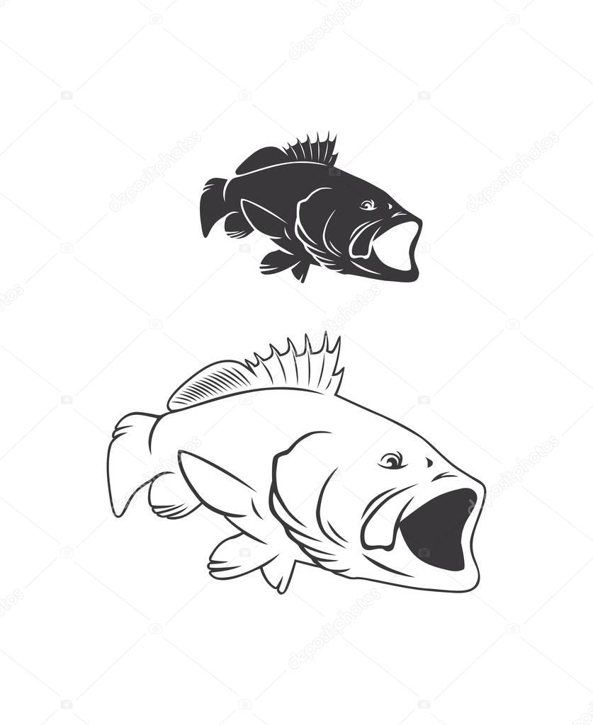 bass fish drawing