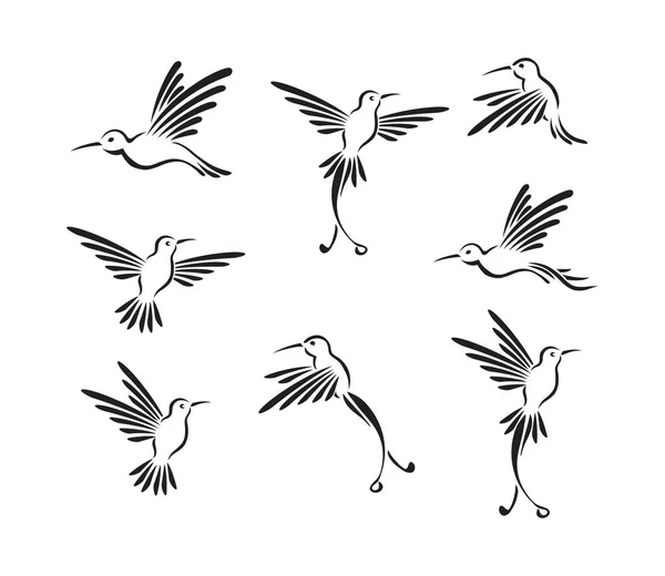 Colibri d'oiseaux dessinés — Image vectorielle