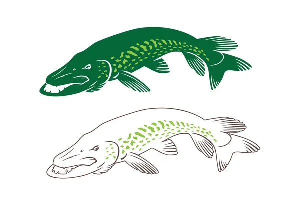 Pike balık için logo — Stok Vektör
