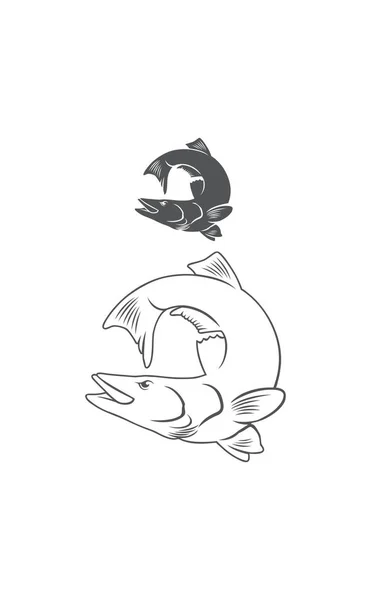 常见的斯努克鱼徽标 — 图库矢量图片