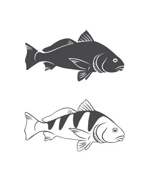 Black drum fish — Stock Vector