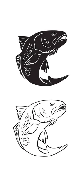 Bass fish para logotipo — Vetor de Stock