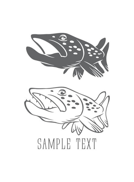 Щуковая рыба для логотипа
