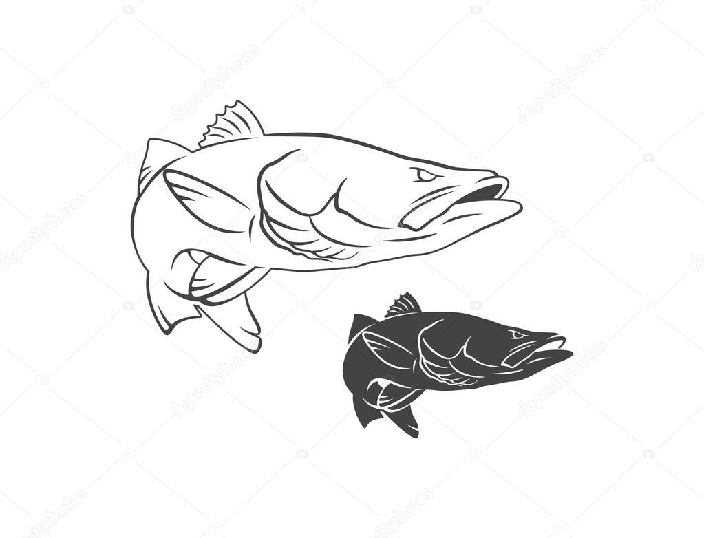 Common snook fish for logo