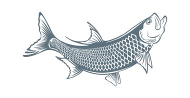  fish tarpon icon clipart