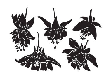 Lily çiçek siluet seti