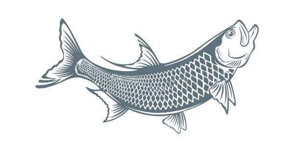 Balık tarpon simgesi — Stok Vektör