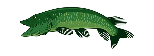 Icono de lucio de pescado — Vector de stock