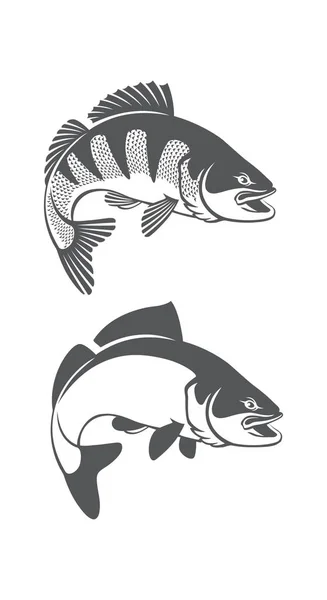 Zander pescado icono conjunto — Archivo Imágenes Vectoriales