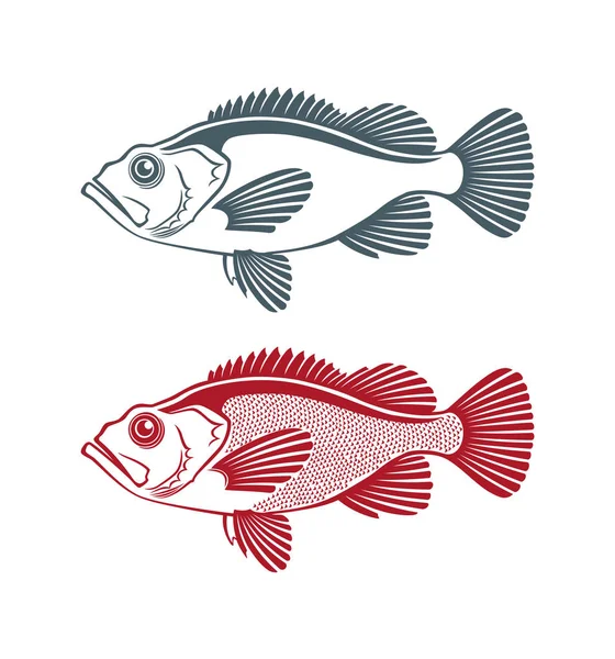 Conjunto de iconos de peces perca — Vector de stock