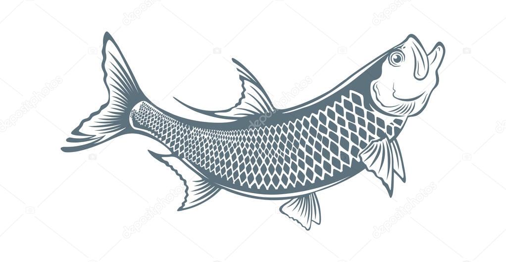 Download Fish tarpon icon — Stock Vector © kvasay #155021556