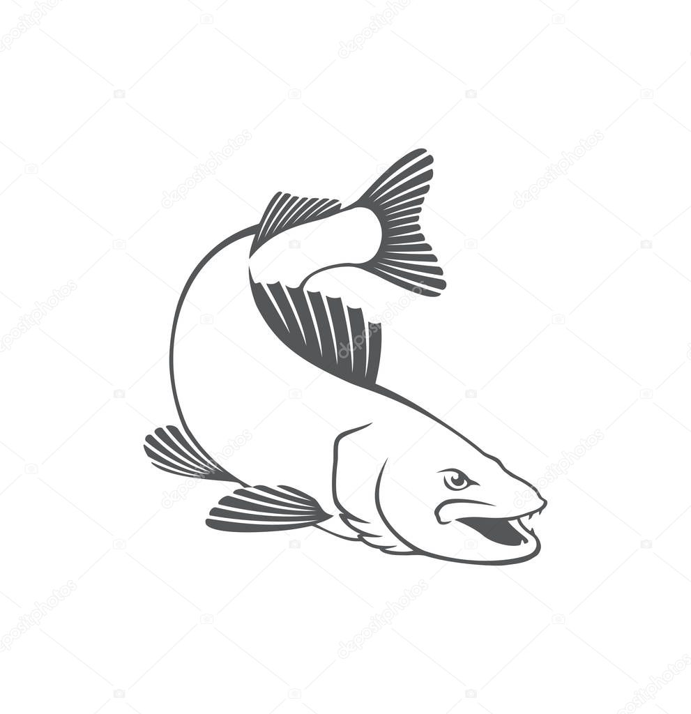 zander fish icon