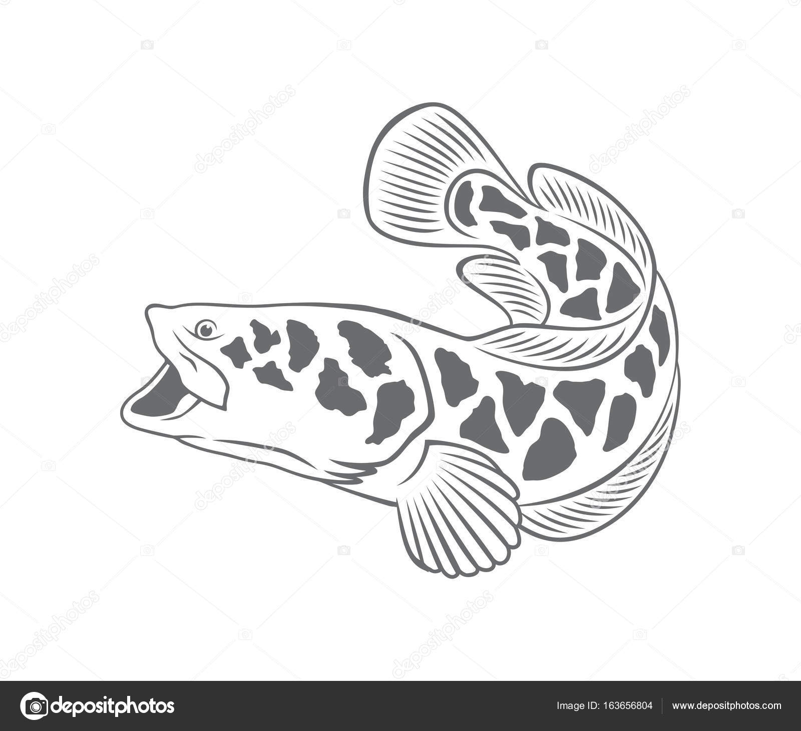 Download Fishing on the snakehead icon — Stock Vector © kvasay ...