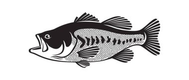 bass fish icon clipart