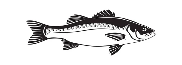 Imagen peces de lubina — Vector de stock