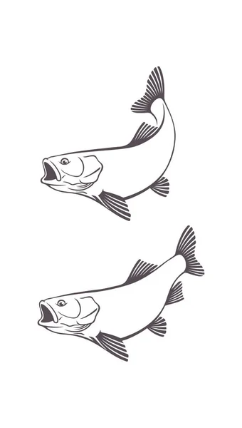 Ícone de peixe chub — Vetor de Stock