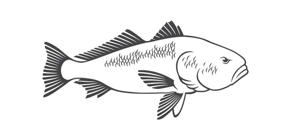Download 108 Red Drum Fish Vector Images Free Royalty Free Red Drum Fish Vectors Depositphotos