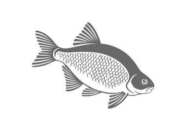 bream fish icon clipart