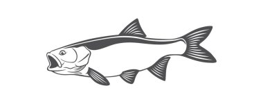 Balık tatlısu kefali simgesi