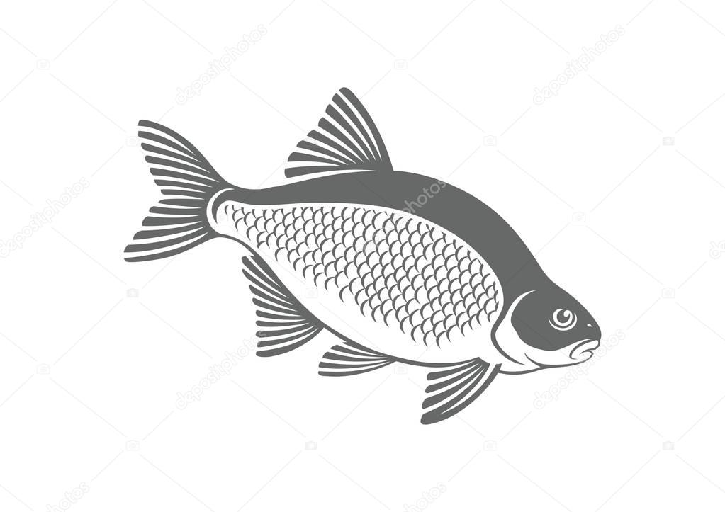 bream fish icon
