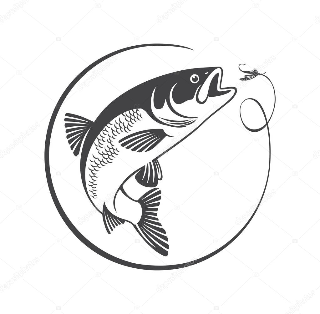 Fish chub. Vector illustration