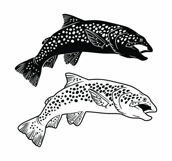 Halászati logó sablon — Stock Vector