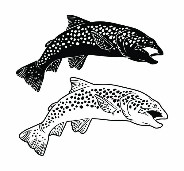 Fishing logo template — Stock Illustration Fishing logo template Stock Vector