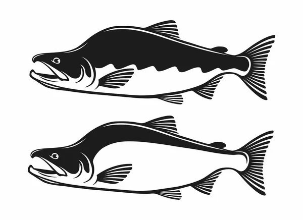 Fiske logotyp mall — Stock vektor