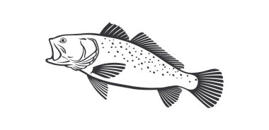 Beyaz, vektör illüstrasyon izole deniz alabalığı balık