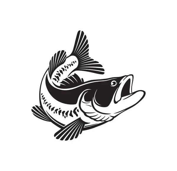 ปลาเบสแยกจากส ขาว ภาพเวกเตอร — ภาพเวกเตอร์สต็อก
