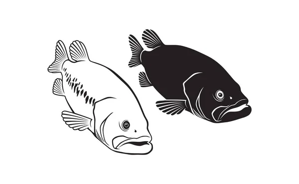 Ikan Bass Diisolasi Pada Warna Putih Ilustrasi Vektor - Stok Vektor